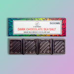 SHROOMIES Sea Salt Dark Chocolate Mushroom Edibles (3000mg)