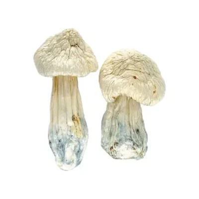 legal psychedelic for sale USA